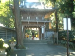 �ߒJ���@�R��