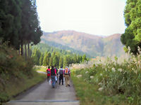 �ѓ������