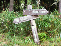 �ѓ��r���̕W��