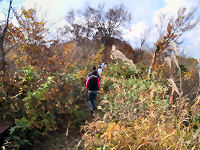 �񓙎O�p�_�܂ŕ����r��