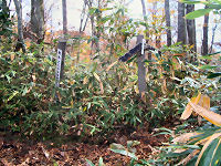 �񓙎O�p�_�ɍs���r��