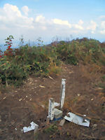 ���x����@�񓙎O�p�_�@�W���X�W�V�D�P��