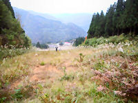 �Ȃׂ��ɉw������