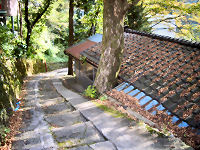 ���J����ւƍ~���⓹