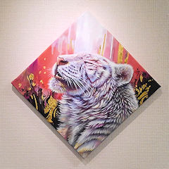 ���{�D��