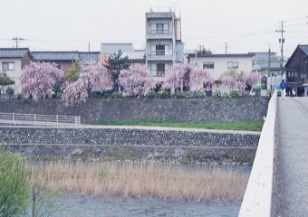 V̏ォ̂