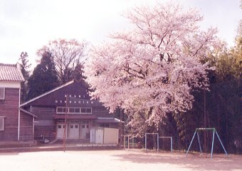 �Z�납�猩�钩�����w�Z�̍�
