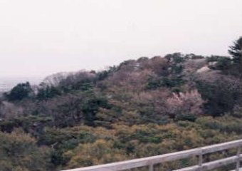 �K�C�R�������E�]�Α䂩��̂Ȃ���