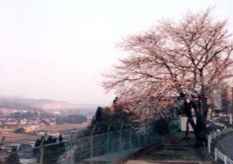 Qړ쏬