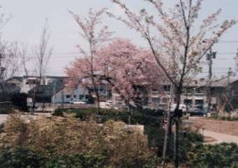 퐶