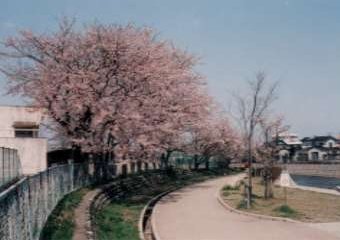 �ΐ쌧���낤�w�Z
