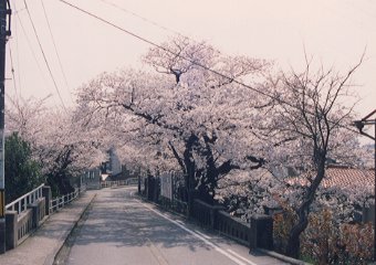 ��\�l��