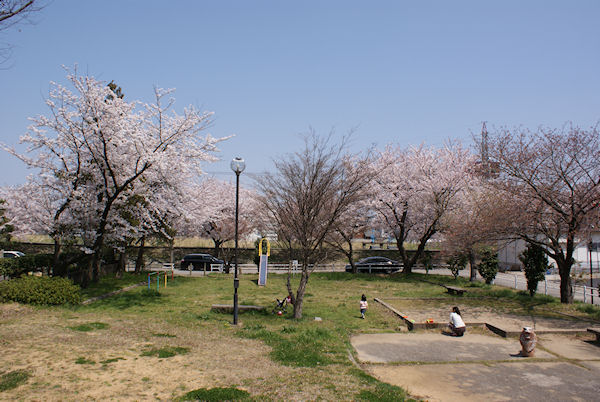�یÓ�����