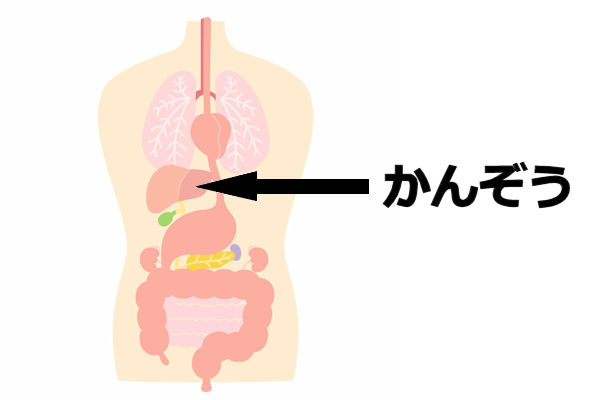 񂼂