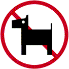 no dog