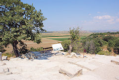 gC