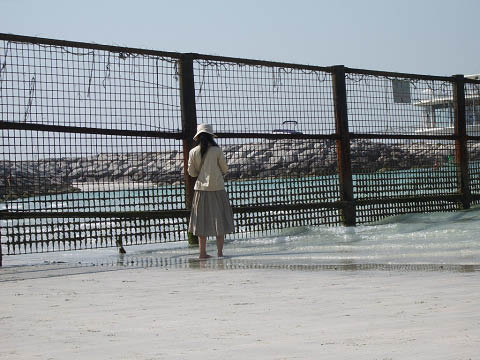 裕美のドバイ旅行記 −−