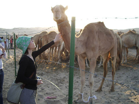 裕美のドバイ旅行記 −−