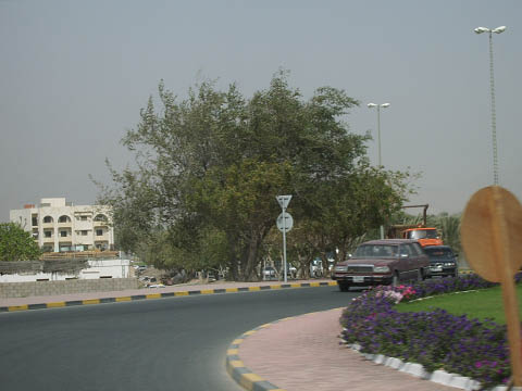 dubai241