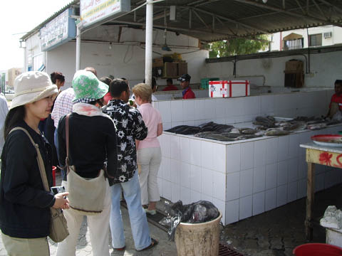 裕美のドバイ旅行記 −−