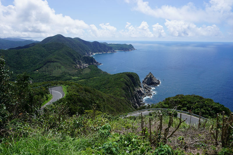 �吣�蓔�䂩�獂�l�r�[�`�Ɍ������r��