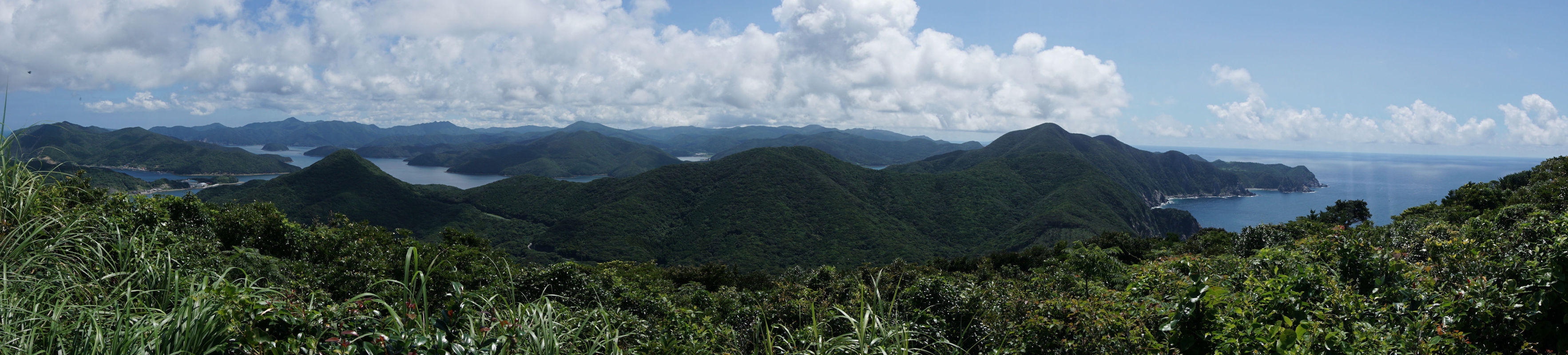 �吣�蓔��W�]�䂩��ʔV�Y�p�����̒���