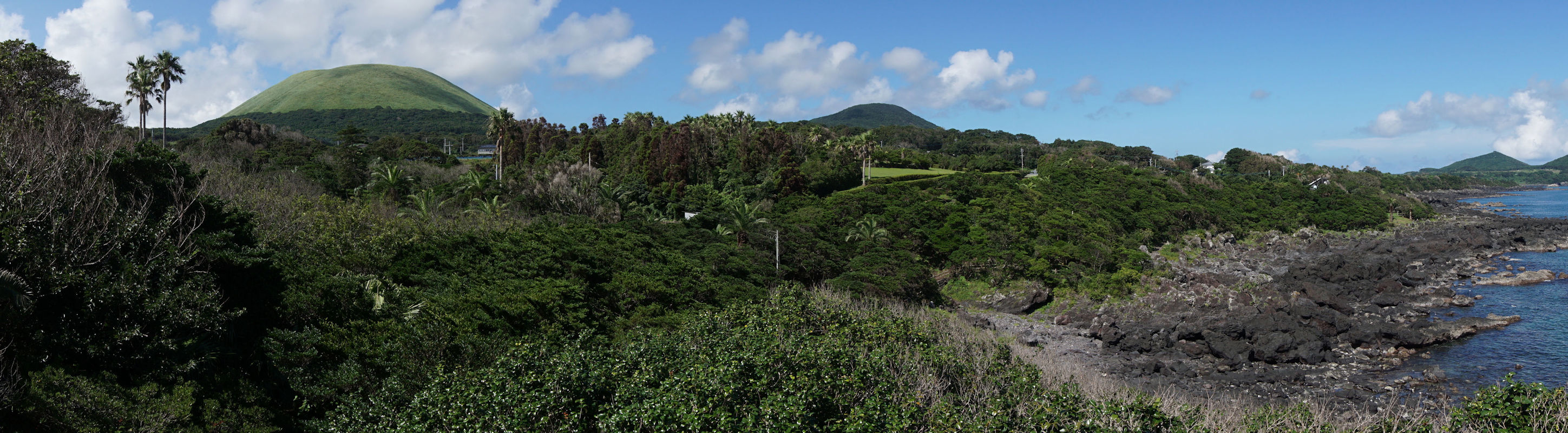 �����n��C�ݓW�]������S�x�̒���