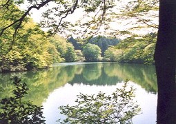 倉ヶ岳の大池