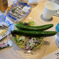 �T���_�{�L���E��