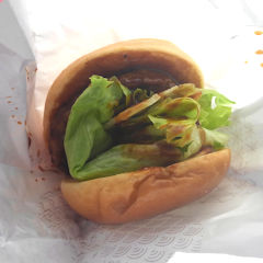 �e�����L�o�[�K�[