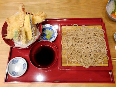 �V�������V�r�[���t��