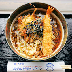 ���ѓV����