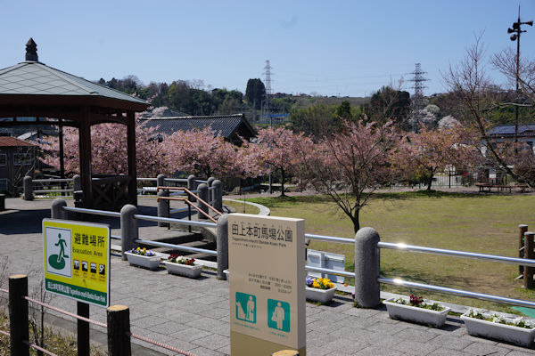 田上本町馬場公園